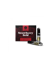 Pack 2 cartuchos vape de recambio Happease esencia...